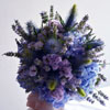 Davide Bertani - Bouquet blu 01
